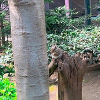Photo taken at Inokashira Park Zoo by じゅうなな on 4/16/2023