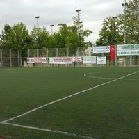 dsi 5 bolge hali saha