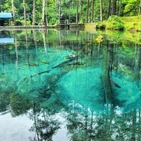 Taman Wisata Rambut Monte Blitar Jawa Timur Taman Wisata Rambut Monte Blitar Jawa Timur