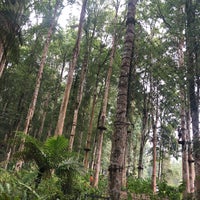 Photo taken at Bali Tree Top Adventure Park by Mubarak ☁️ on 4/15/2019