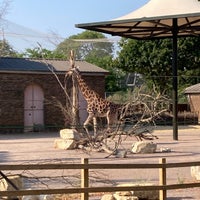 Photo taken at Giraffe House by Julian S. on 7/19/2022