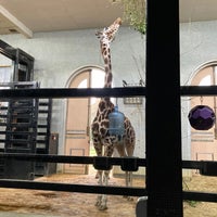 Photo taken at Giraffe House by Julian S. on 12/2/2020