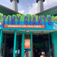 Photo taken at Tiny Giants by Julian S. on 8/28/2022