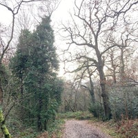 Photo taken at Petts Wood Woods by Julian S. on 12/27/2022