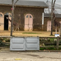 Photo taken at Giraffe House by Julian S. on 11/30/2020
