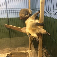 Photo taken at Контактный зоопарк by Арина on 3/27/2017