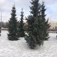 Photo taken at Эстакада на Шафировском by Арина on 3/12/2018