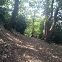 Photo taken at Lesnes Abbey Woods by Ашли . on 8/24/2019