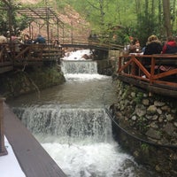 Selale Restaurant Kartepe Restoran Yorumlari Tripadvisor