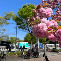 Photo taken at 茅ヶ崎中央公園 by Ryouji O. on 4/9/2023