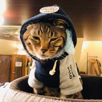 Photo taken at Cat Cafe ねころび by Nimsara B. on 12/15/2018