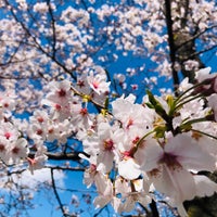荒川赤羽桜堤緑地 Other Great Outdoors In 北区 荒川赤羽桜堤緑地 Other Great Outdoors In 北区