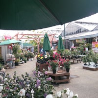 ドイトコーナン与野店 中央区八王子1 6 18