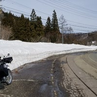 ひるがの高原 コキアパーク 高鷲ひるがの