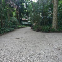 Photo taken at Parque Tenente Siqueira Campos (Trianon) by Álvaro R. on 11/11/2017
