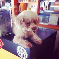 Amazing Pets Jalan Song