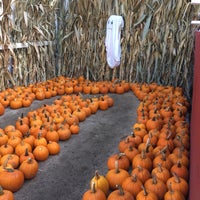 Photo taken at Clancy&amp;#39;s Pumpkin Patch by Kathryn B. on 10/21/2017