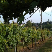Photo taken at Heuriger &amp;quot;Weinbau Herrmann&amp;quot; by SMR on 7/29/2013