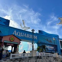 Foto diambil di Aquarium Cancun oleh Hugo O. pada 12/22/2023