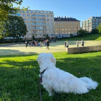 Photo taken at Lastenlehdon puisto by Juhani P. on 8/30/2021