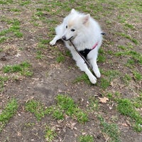 Photo taken at Central Park UES Dog Spot by suzanne 🌶 on 4/3/2022