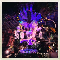 Photo taken at Walt Disney&amp;#39;s Enchanted Tiki Room by Suze on 4/5/2023