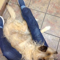 vca tlc animal hospital