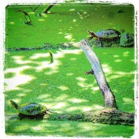 Dutchess Rail Trail 1 tip from - 63458216 ImEgot2ZjqiPGcFHkRtZaZSx3bcyePs68BWZFCIRuX0