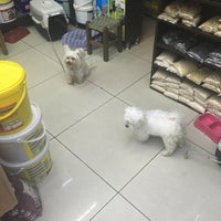 askin pet shop alpaslan melikgazi kayseri