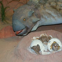Foto scattata a Las Vegas Natural History Museum da Las Vegas Natural History Museum il 8/11/2013