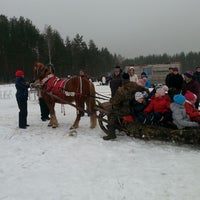 КСК Виват Виктория Киржачский район