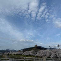 Photo taken at 御蔭橋 by sako on 4/7/2024
