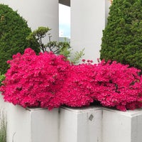 東光ストア 大谷地店 厚別区 179 Ziyaretcidan 2 Tavsiye