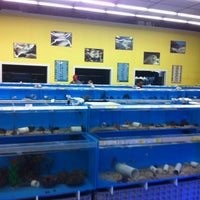 Photo taken at That Fish Place - That Pet Place by Anthony on 5/4/2013