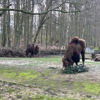 Photo taken at Zoo Rostock by Olli on 2/25/2024