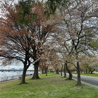 Photo taken at Hains Point by Wadha on 4/2/2024