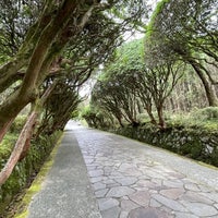 Photo taken at Onshi Hakone Park by shtottuan on 10/22/2023