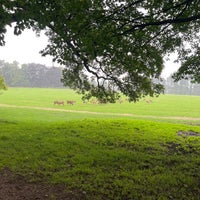 Photo taken at Wollaton Hall &amp;amp; Deer Park by Ale S. on 8/18/2023