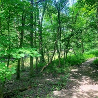 Photo taken at La Bagh Woods (Cook County Forest Preserve) by Shannon J. on 7/8/2019