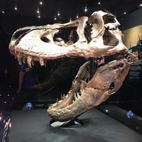 Photo taken at Dan L Duncan Hall of Paleontology by Melanie W. on 8/2/2021