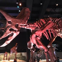 Photo taken at Morian Hall of Paleontology at HMNS by Melanie W. on 8/2/2021