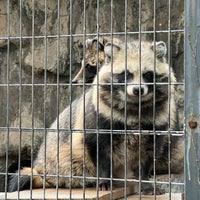 Photo taken at Nogeyama Zoo by イノッチ on 1/24/2024