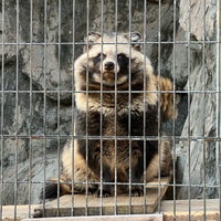 Photo taken at Nogeyama Zoo by イノッチ on 1/24/2024