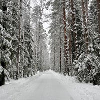 Photo taken at Komarovo by Vera S. on 2/13/2022