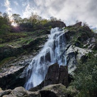 4/20/2024 tarihinde Shoya T.ziyaretçi tarafından Powerscourt Waterfall'de çekilen fotoğraf