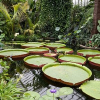 Photo taken at Princess of Wales Conservatory by Richard M. on 10/22/2022