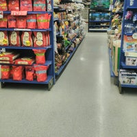 petland discounts brooklyn