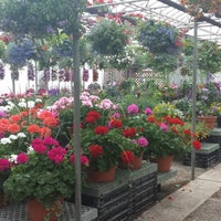 The Flower Source Flower Shop The Flower Source Flower Shop