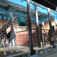 Photo taken at MillerCoors Giraffe Experience by Anne S. on 1/14/2024