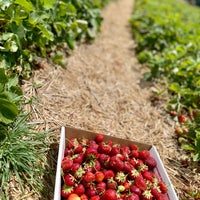 Photo taken at Butler&amp;#39;s Orchard by Donna Mc on 6/10/2022